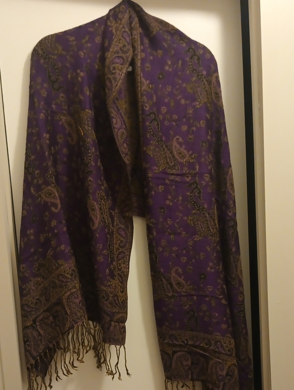 Paisley Scarf/Shawl